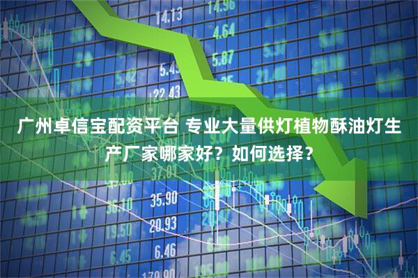 广州卓信宝配资平台 专业大量供灯植物酥油灯生产厂家哪家好？如何选择？