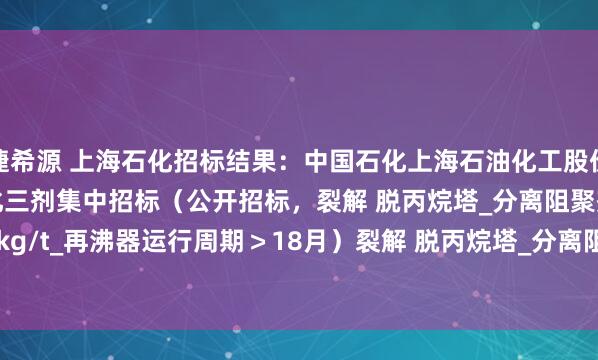 捷希源 上海石化招标结果：中国石化上海石油化工股份有限公司2025年炼化三剂集中招标（公开招标，裂解 脱丙烷塔_分离阻聚剂\单耗0.1-0.15kg/t_再沸器运行周期＞18月）裂解 脱丙烷塔_分离阻聚剂\单耗0.1-0.15kg/t_再沸器运行周