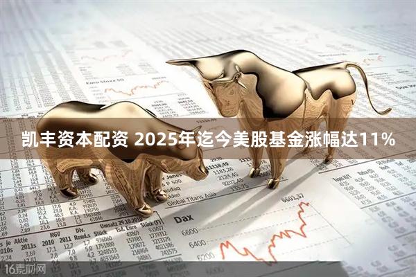 凯丰资本配资 2025年迄今美股基金涨幅达11%