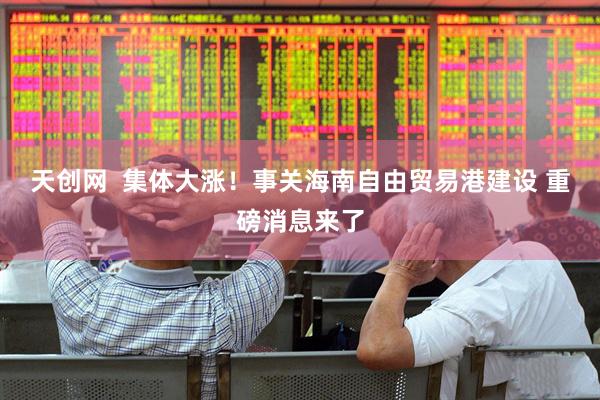 天创网  集体大涨！事关海南自由贸易港建设 重磅消息来了