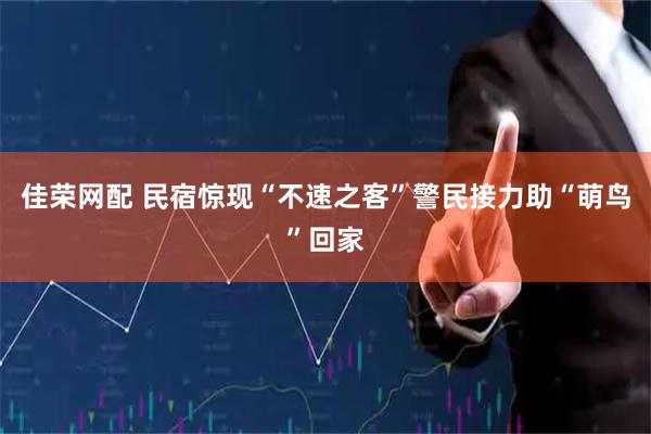 佳荣网配 民宿惊现“不速之客”警民接力助“萌鸟”回家